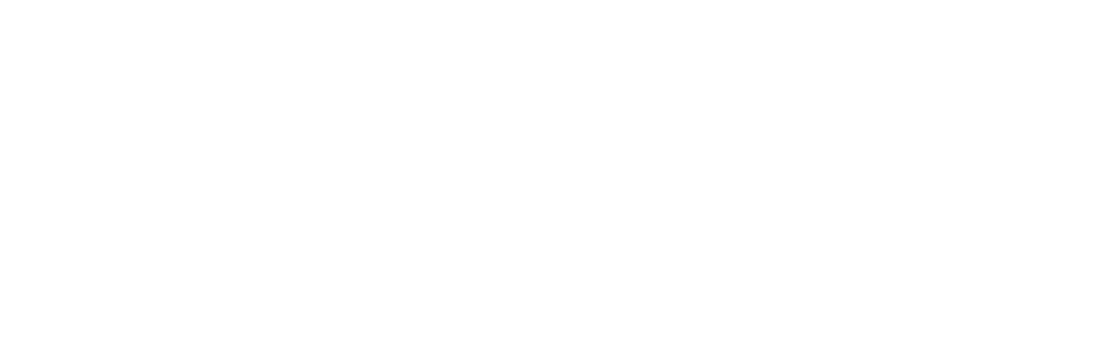 netlightsystems.com
